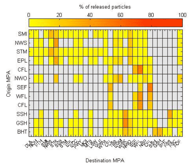 Figure 6b: Matrix showing the percentage of all particles representing burrowing sea anemone released from each origin MPA drifting over any MPA during the settlement period of their pelagic phase. Grey boxes indicate zero hits.