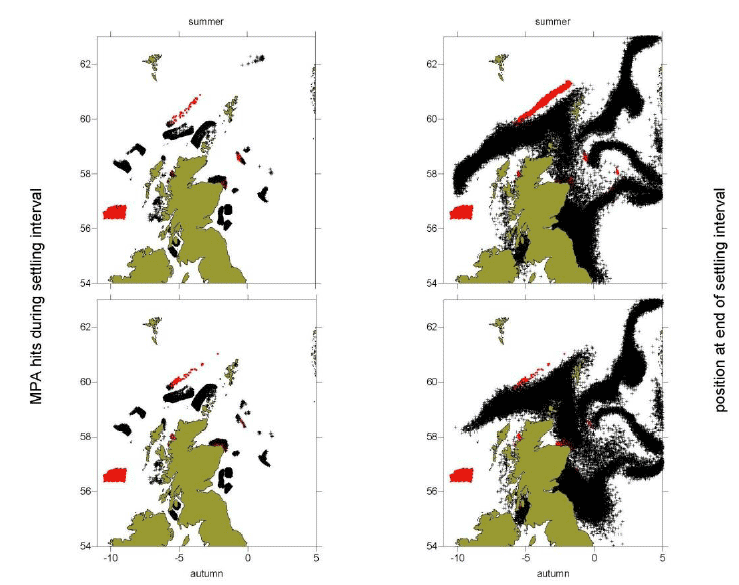 Figure 8a: Black dots show the distribution of particles at the end of the settlement window (right panels) and MPAs locations that these particles drifted over during that period (left panels) for each of the spawning periods (top: summer; bottom: autumn). Red dots show the particle origin positions.
