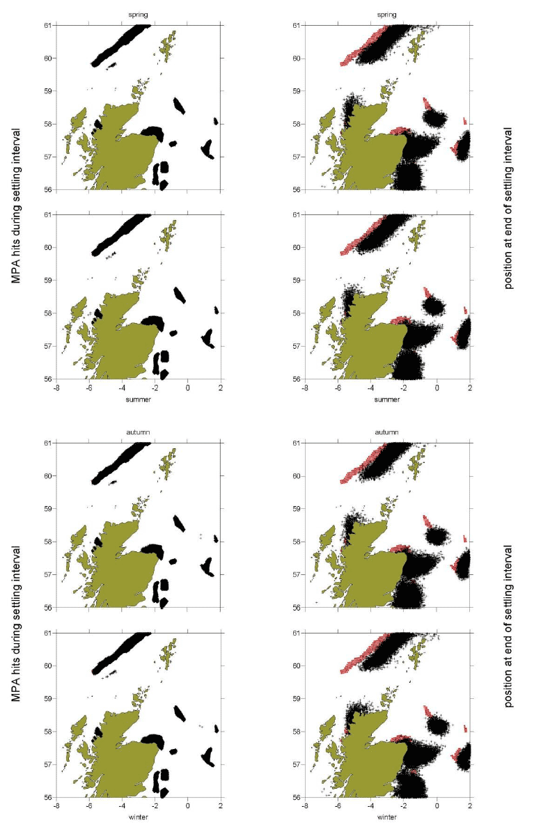 Figure 13a: Black dots show the distribution of particles at the end of the settlement window (right panels) and MPAs locations that these particles drifted over during that period (left panels) for each of the spawning periods (rows from the top: spring to winter). Red dots show the particle origin positions.