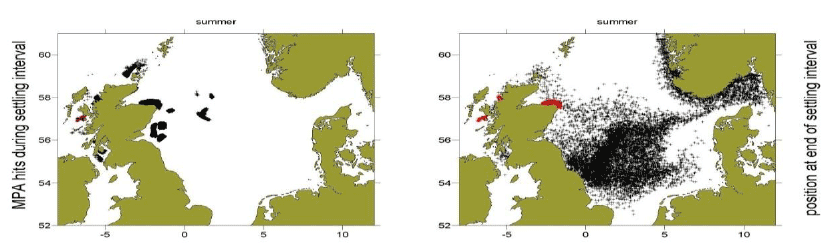 Figure 14a: Black dots show the distribution of particles at the end of the settlement window (right panel) and MPAs locations that these particles drifted over during that period (left panel). Red dots show the particle origin positions.