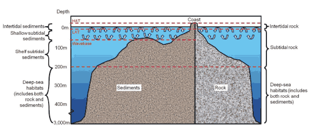 Figure 10 A generic cross-section of the seabed from the coast to deep waters offshore