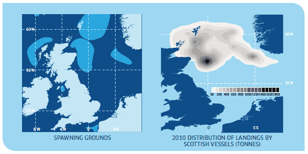 Left: Spawning Grounds. Right: 2010 Distribution of Landings by Scottish Vessels (Tonnes).