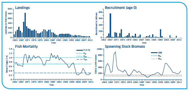 Landings, Recruitment (age 0), Fish mortality and Spawning Stock Biomass