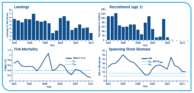 Landings, Recruitment (age 1), Fish mortality and Spawning Stock Biomass