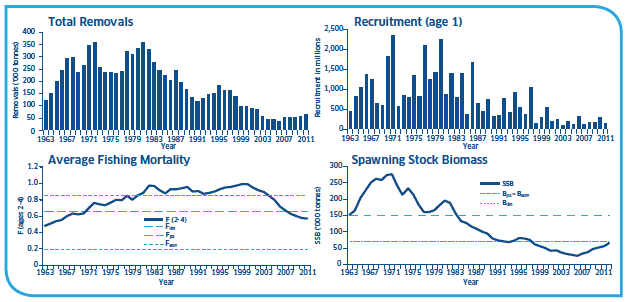 Total removals, Recruitment (age 1), Average Fish mortality and Spawning Stock Biomass