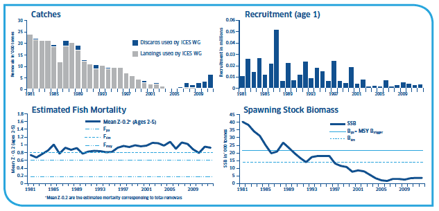 Catches, Recruitment (age 1), Estimated Fish mortality and Spawning Stock Biomass