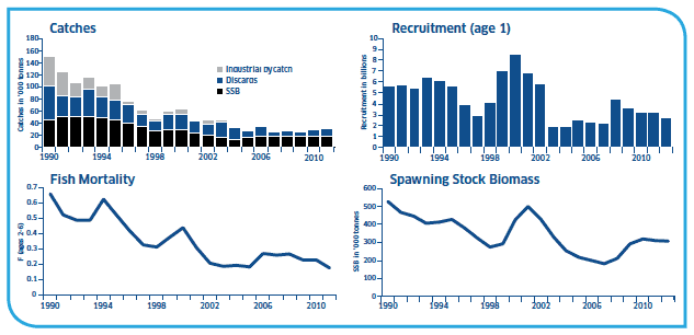 Catches, Recruitment (age 1), Fish mortality and Spawning Stock Biomass