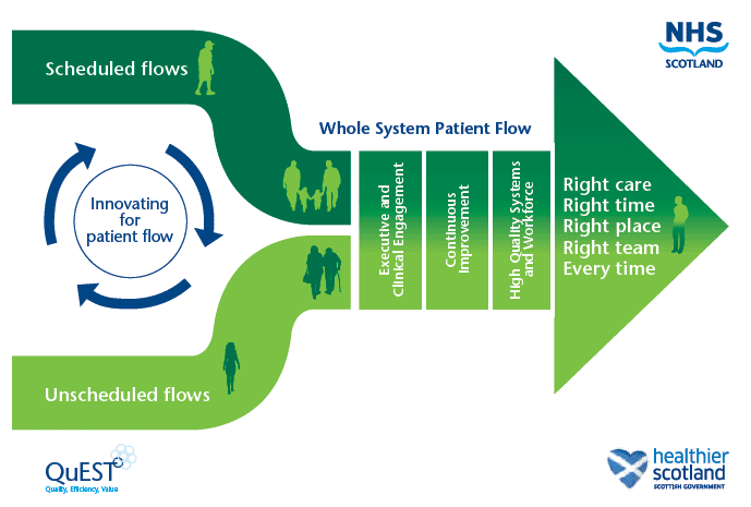 Figure 2: Whole Systems Patient Flow Improvement Programme