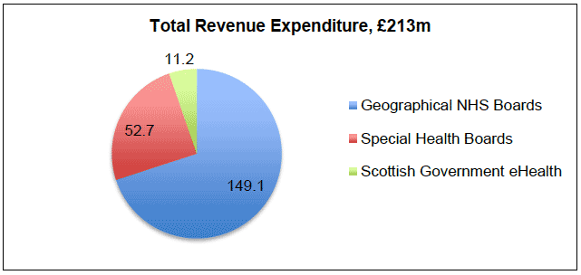 Total Revenue Expenditure, £213m