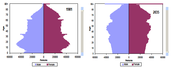 Figure 1 population pyramids for 1981 and 2035