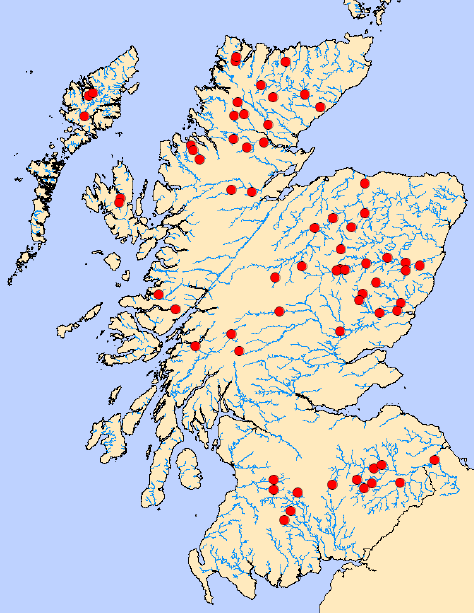 Figure 1 SNP sites included in the analysis