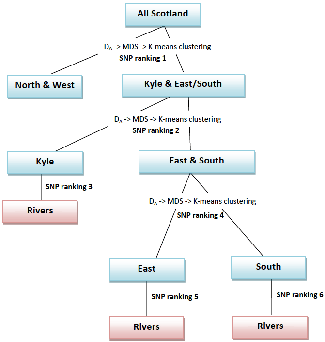Figure 2 Hierarchical approach to identification of SNPs