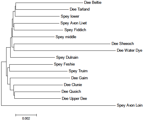 Figure 13 Neighbour-joining tree showing relationships between sites on the Spey and Dee