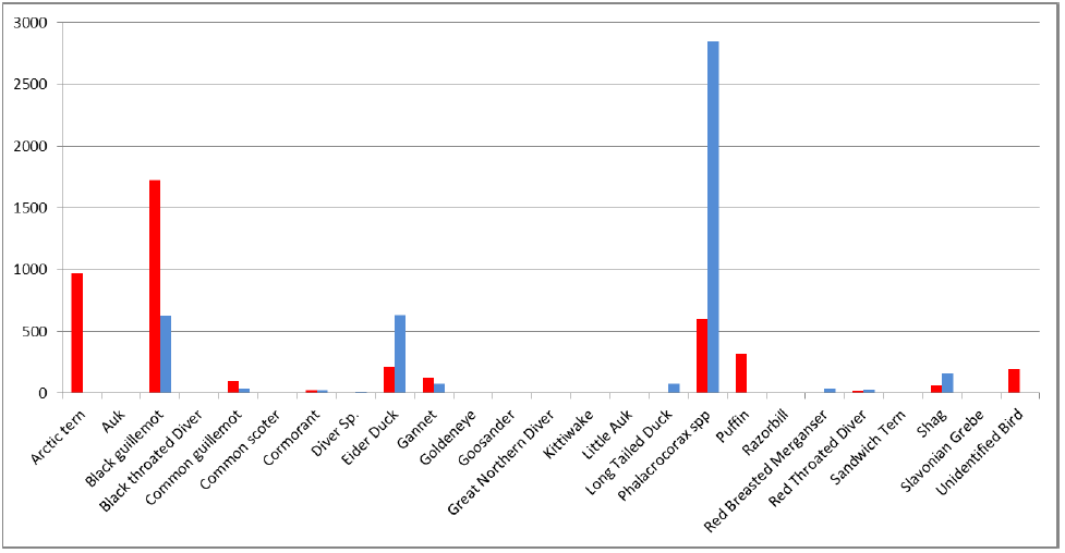 Figure 2: Mean summer month (red) and mean winter month (blue) bird species sightings at the Fall of Warness for period April 2013 to March 2014.