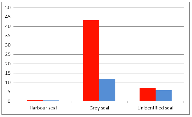 Figure 3: Mean summer month (red) and mean winter month (blue) seal species sightings at the Billia Croo for period April 2013 to March 2014