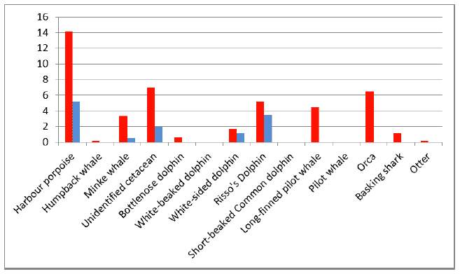 Figure 4: Mean summer month (red) and mean winter month (blue) cetacean, basking shark and otter species sightings at the Billia Croo for period April 2013 to March 2014