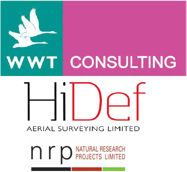 WWT Consulting