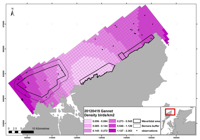 Figure 98 - April gannet density surface model from digital aerial survey