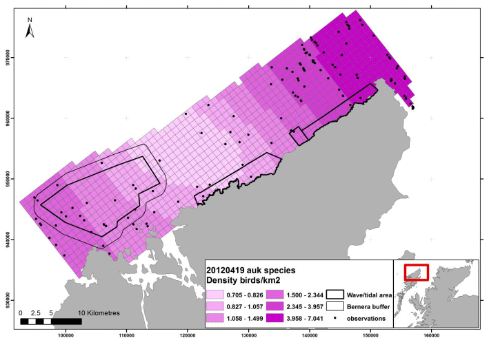 Figure 100 – April auk density surface model from digital aerial survey
