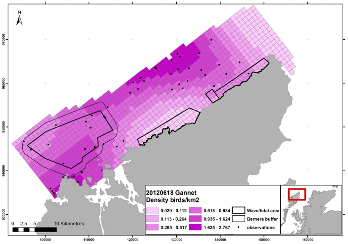Figure 110 – June gannet density surface model from digital aerial survey