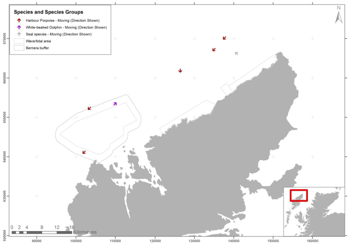Figure 10 – April cetacean records from digital aerial survey