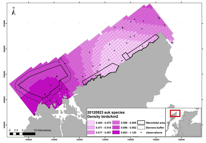 Figure 124 - September auk density surface model from digital aerial survey