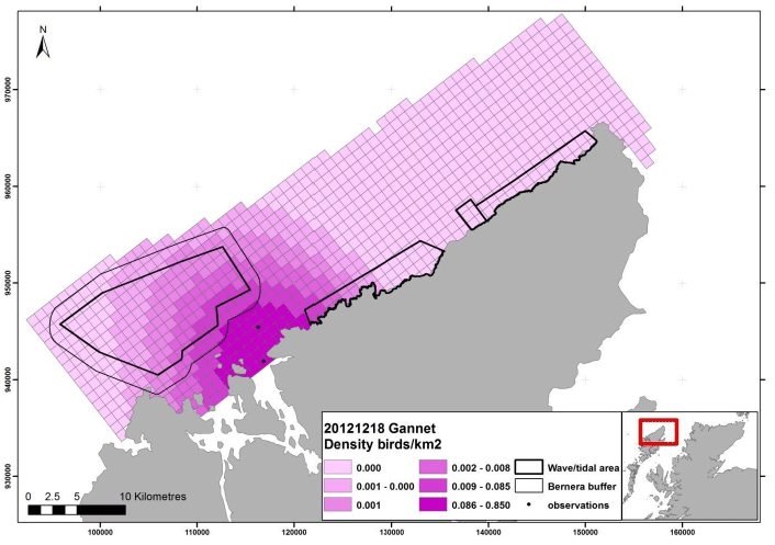 Figure 128 - December gannet density surface model from digital aerial survey