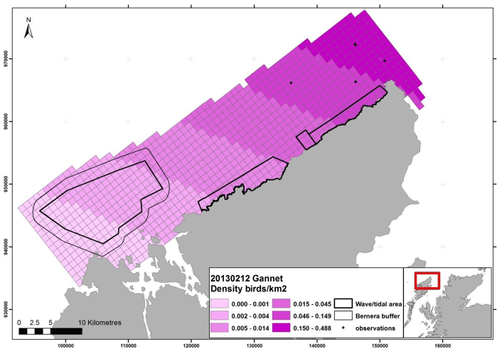 Figure 134 - February gannet density surface model from digital aerial survey