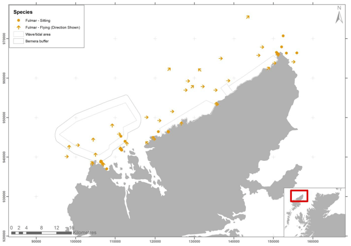 Figure 17 – June fulmar records from digital aerial survey