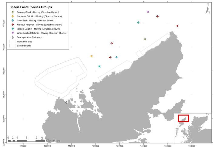 Figure 27 – July cetacean, marine mammal and shark records from digital aerial survey