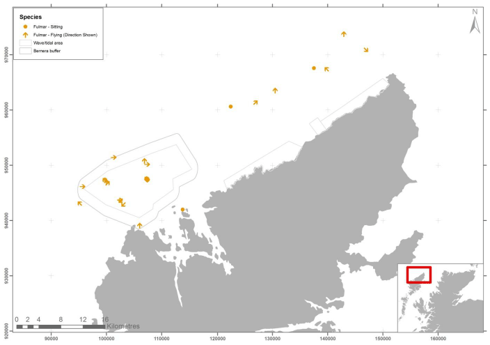 Figure 29 – September fulmar records from digital aerial survey