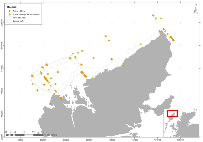 Figure 35 - December fulmar records from digital aerial survey