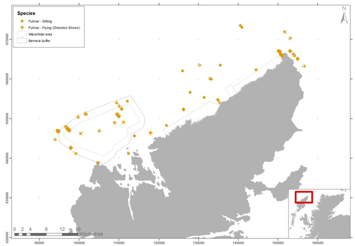 Figure 42 - February fulmar records from digital aerial survey