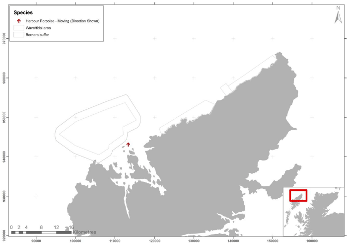 Figure 47 – February cetacean records from digital aerial survey
