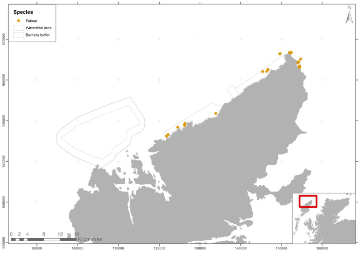 Figure 49 – April fulmar records from ground-based counts