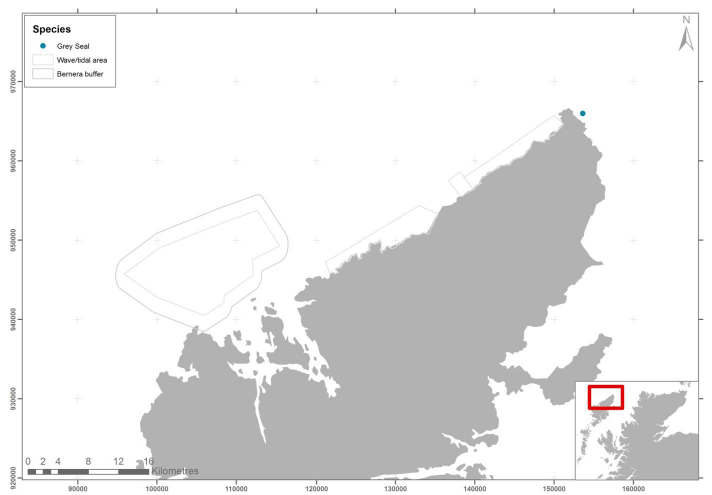 Figure 84 - February seal records from ground based counts