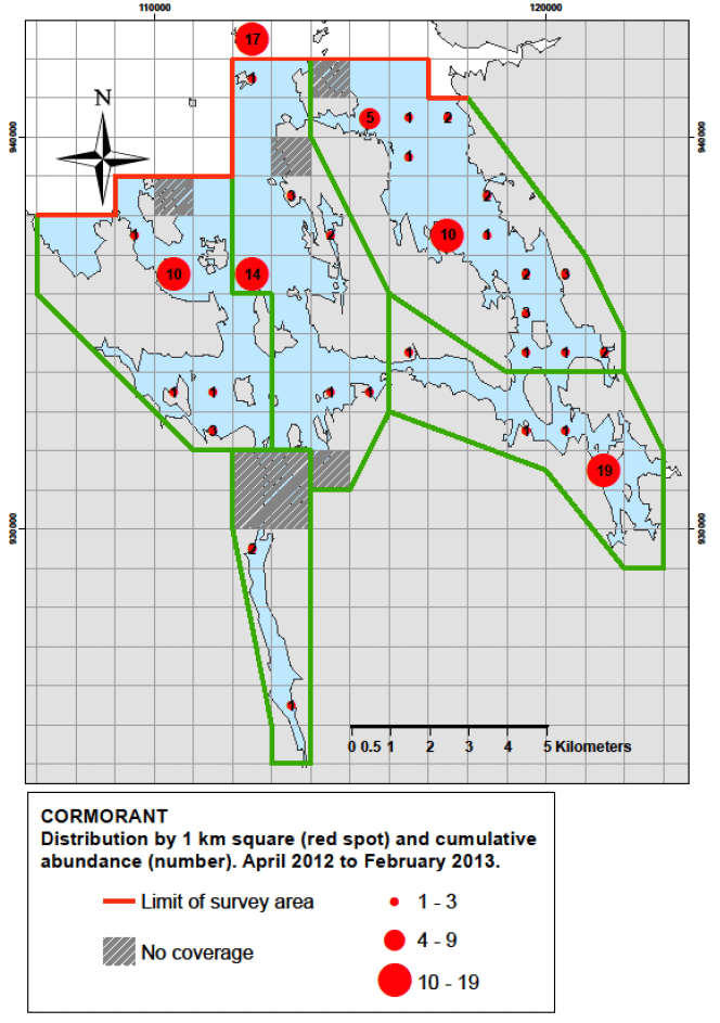 Figure 92 - Cormorant distribution by 1km square and cumulative abundance, April 2012 – February 2013