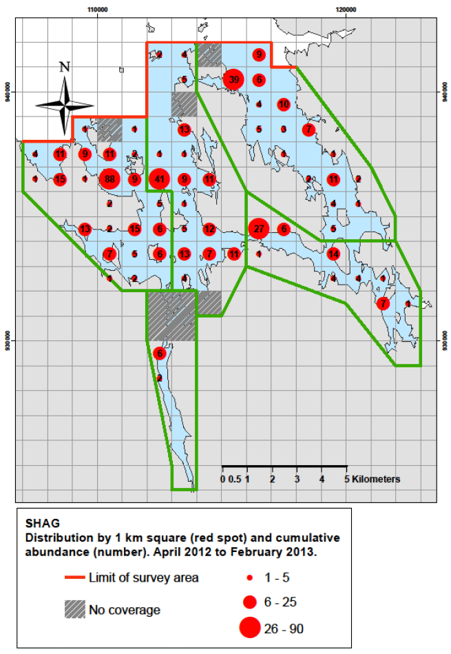 Figure 93 - Shag distribution by 1km square and cumulative abundance, April 2012 – February 2013