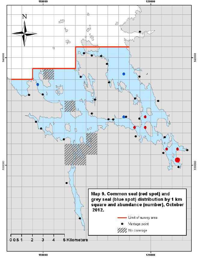 Figure 95 - Common seal and grey seal distribution by 1km square and abundance, October 2012