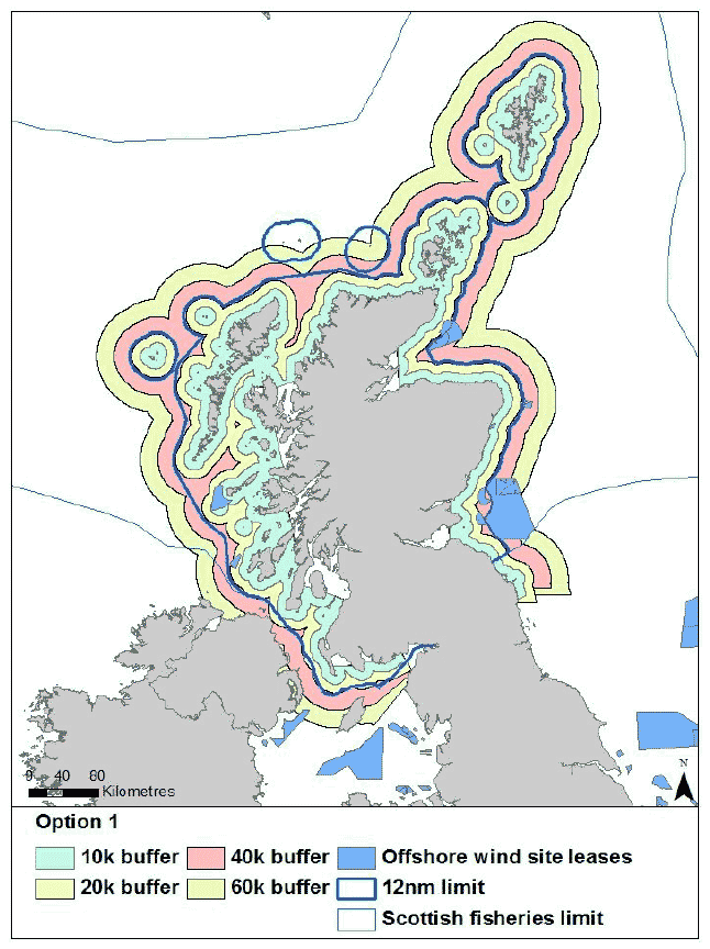 Figure 2: Near coast seabird migration patterns