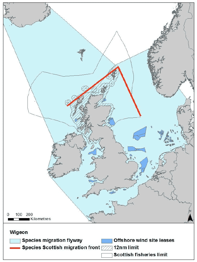 Figure 14: Migration flyway of wigeon passing through Scottish waters