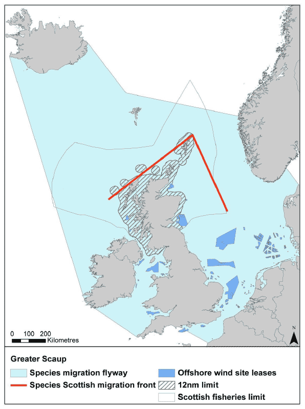 Figure 19: Migration flyway of scaup passing Scottish waters