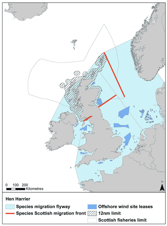 Figure 23: Migration flyway of hen harrier passing Scottish waters
