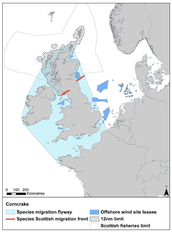 Figure 26: Migration flyway of corncrake passing Scottish waters