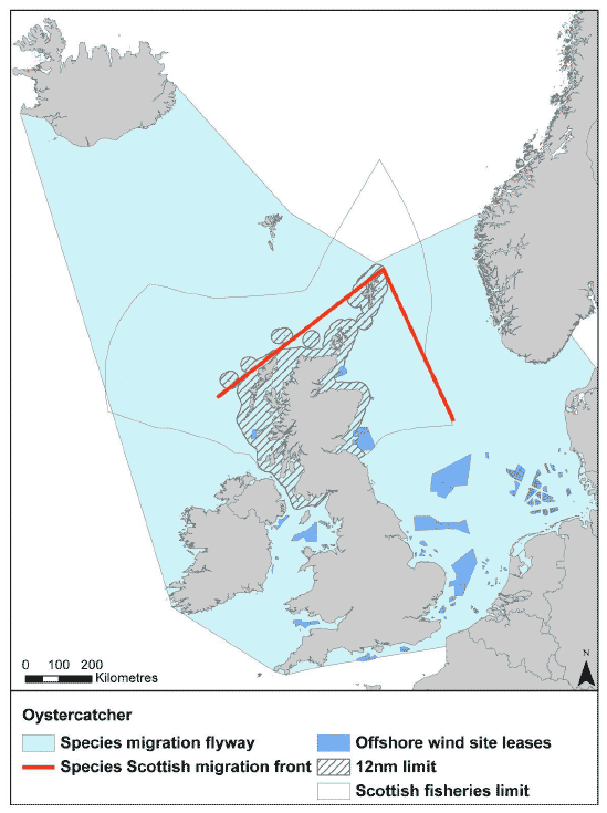 Figure 27: Migration flyway of oystercatcher passing Scottish waters