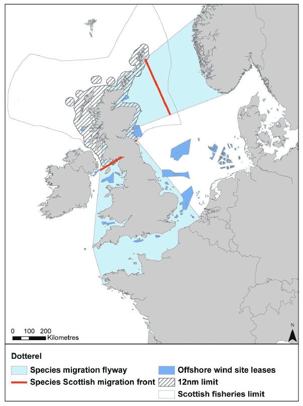 Figure 28: Migration flyway of dotterel passing Scottish waters