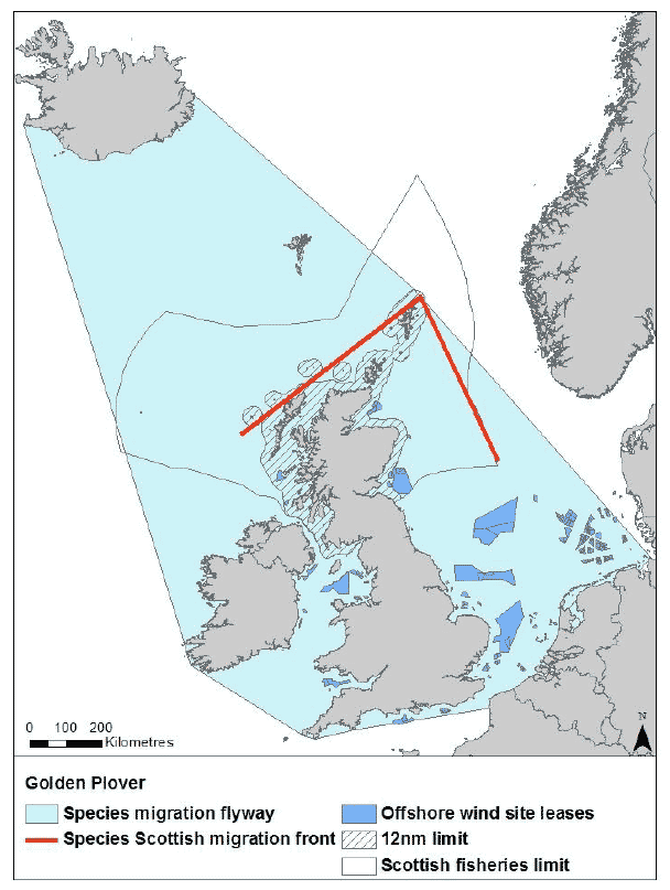 Figure 29: Migration flyway of golden plover passing Scottish waters