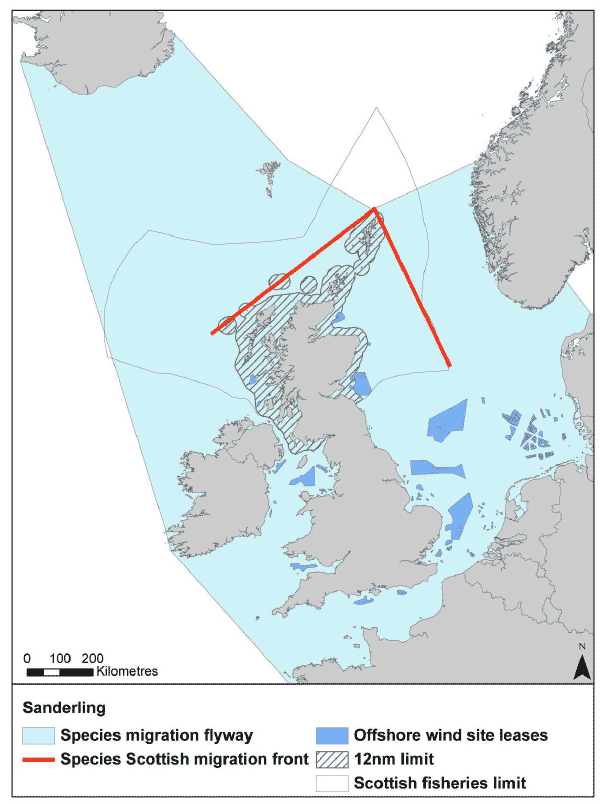 Figure 31: Migration flyway of sanderling passing Scottish waters