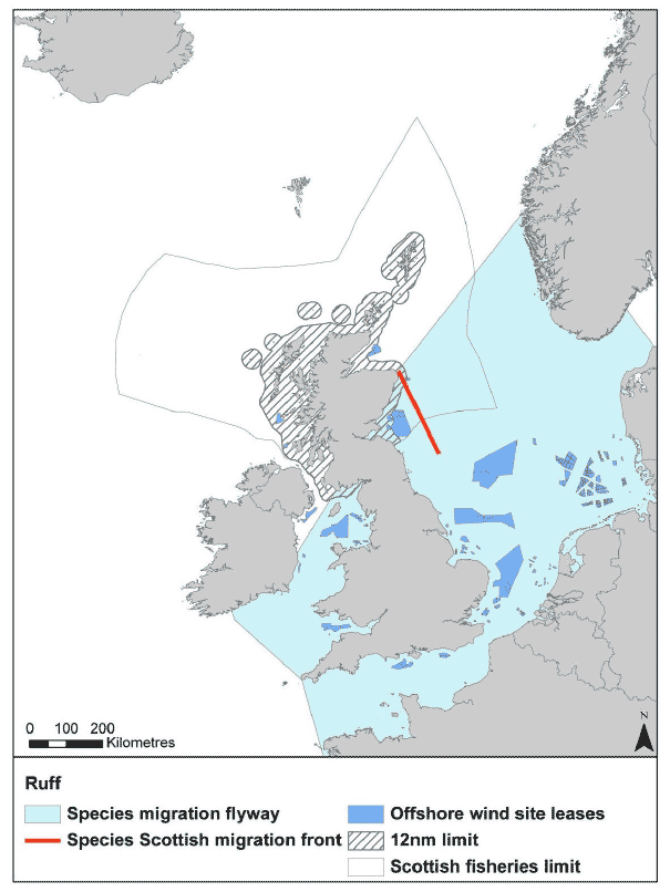 Figure 35: migration flyway of ruff passing Scottish waters