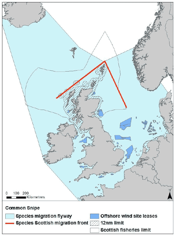 Figure 36: Migration flyway of snipe passing Scottish waters